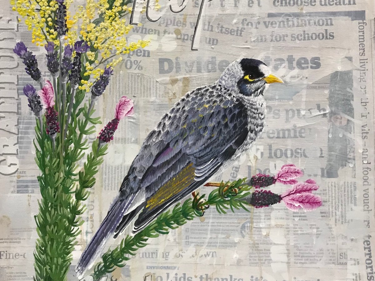 Contemplations of Lockdown