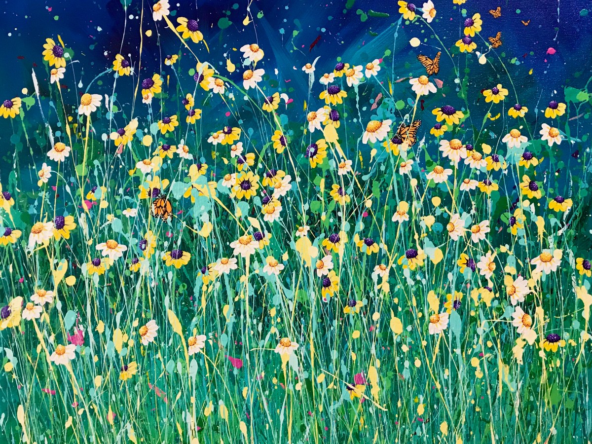 Daisy Fields