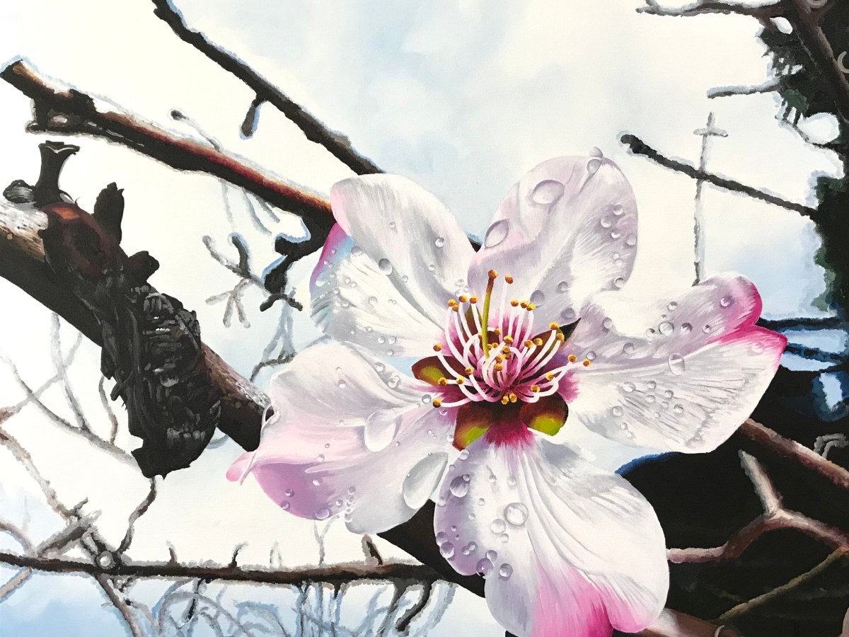 The First Buds of&nbsp;Hope