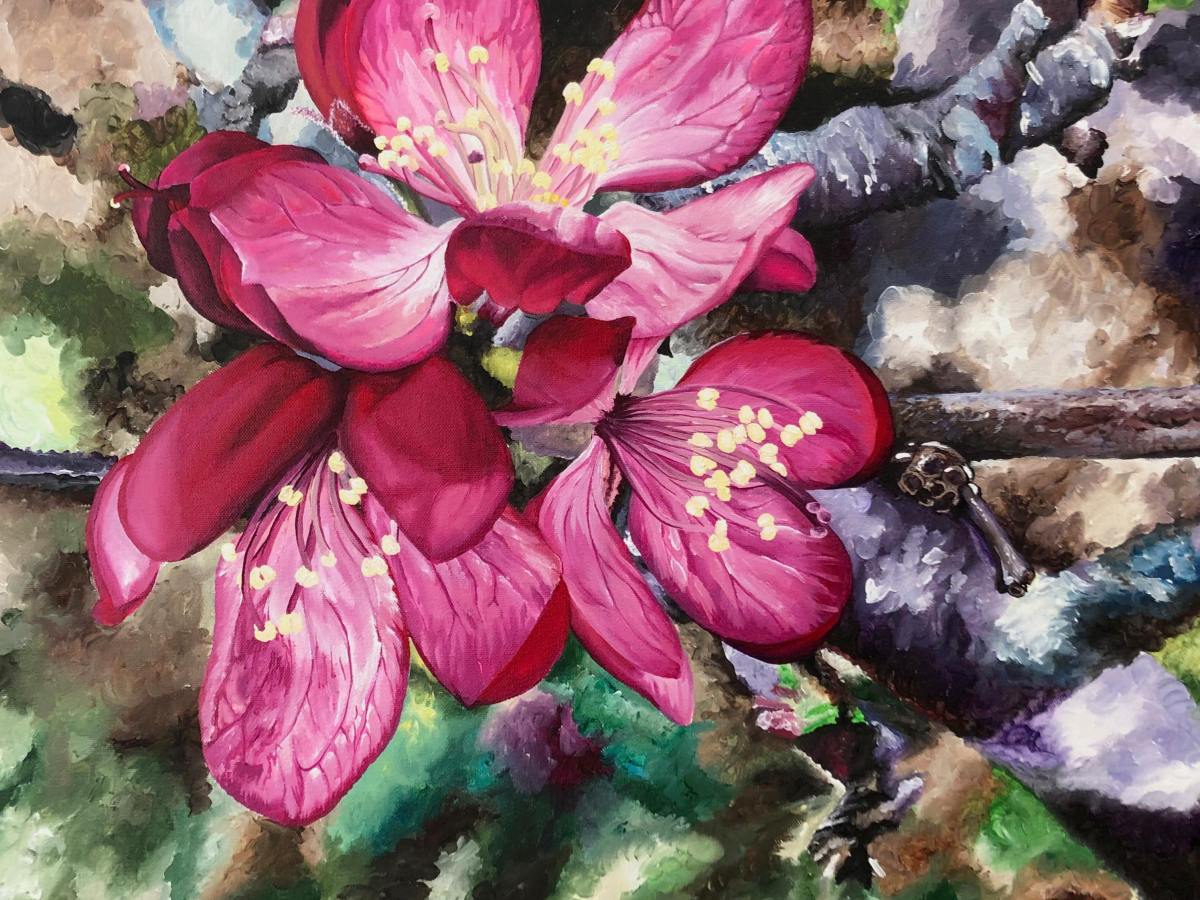 Discoveries While Walking:&nbsp;Crabapple