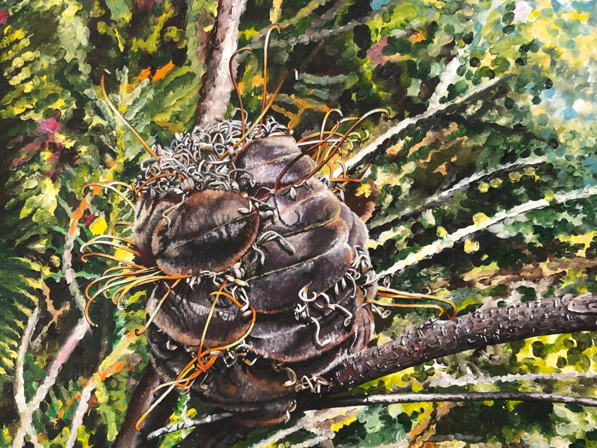 Simply Complicated: Discoveries While&nbsp;Walking