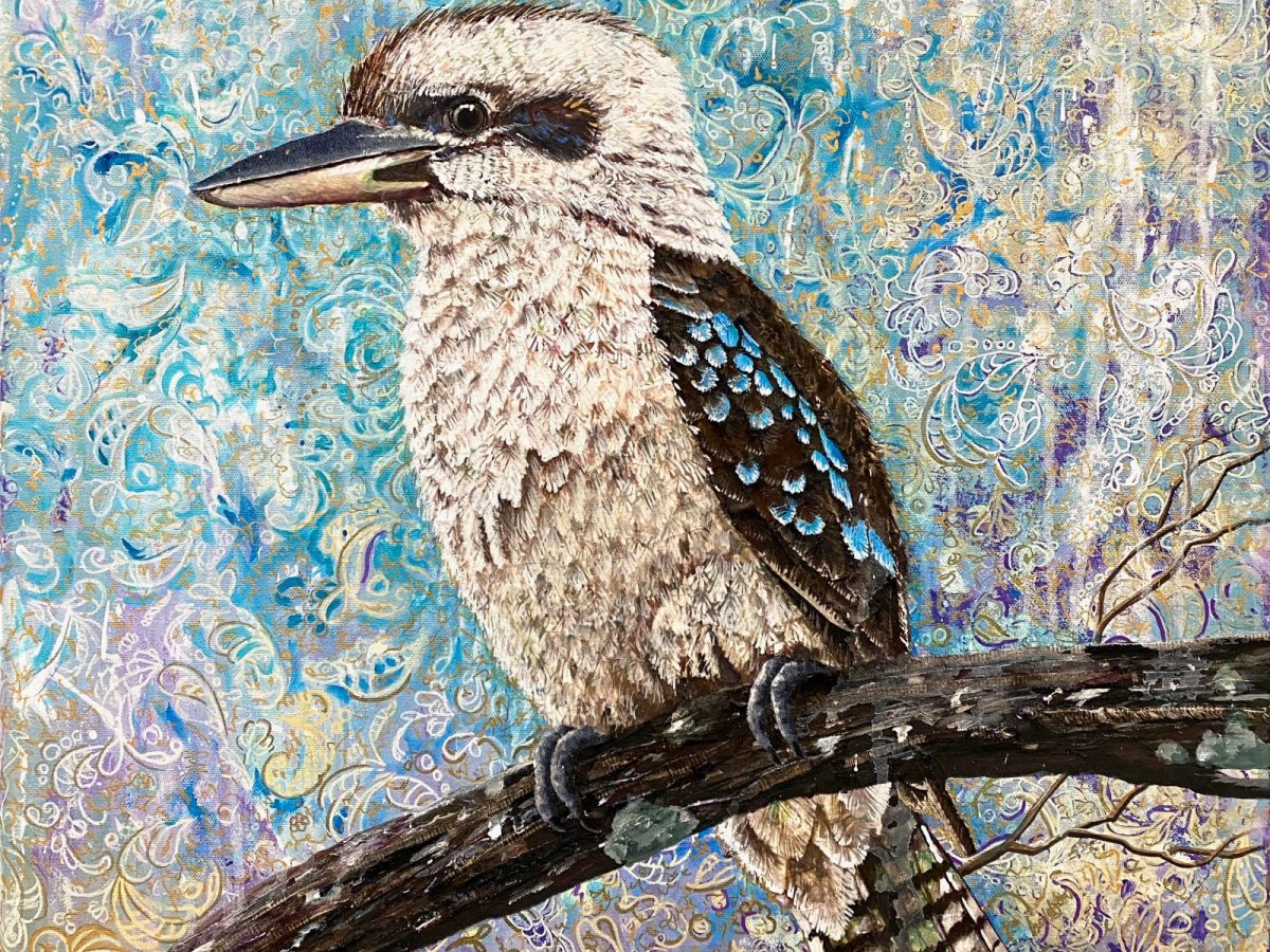 Thanks Mr Kookaburra