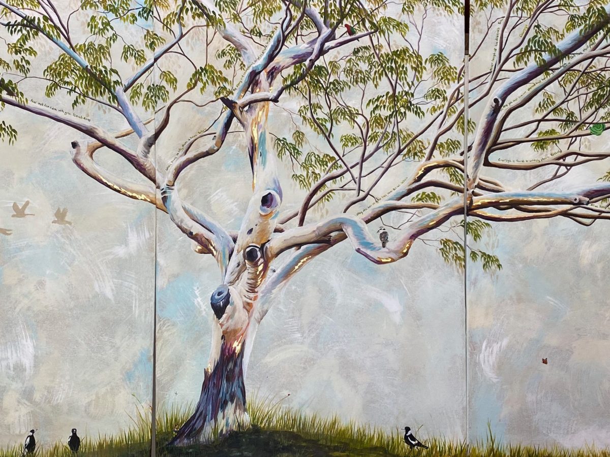 One Day in&nbsp;Galston